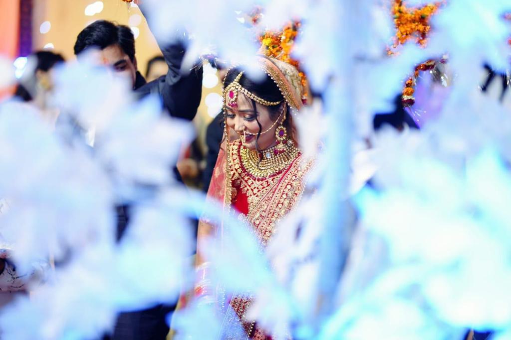 Lawn 11